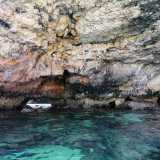 Raggiungiamo la maestosa caverna su cui si affacciava il locale: qui le pareti, affollate da decine di piccioni a riposo, sono caratterizzate da tanti piccoli anfratti e da �pilastri� in pietra che sembrano sorreggerne la volta